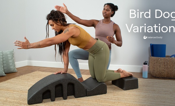 Pilates Arc - Balanced Body Arc - Pilates Accessories