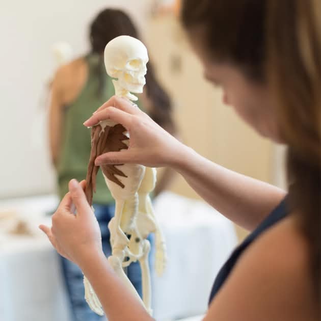 using clay on mini skeleton