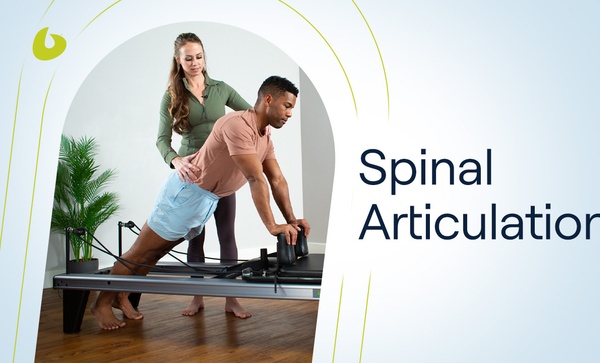 spinal articulation allegro reformer