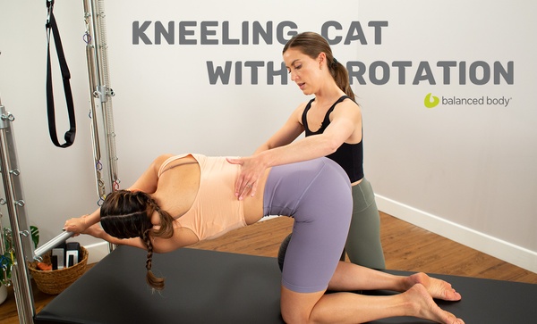 trap table kneeling cat pilates