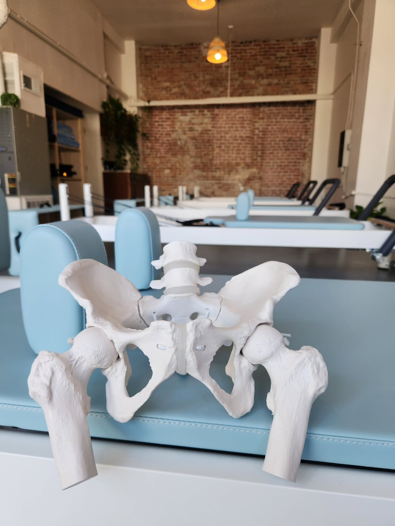 allegro 2 fjord blue